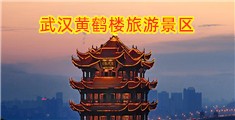 操小逼视频