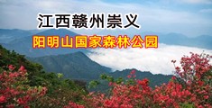 被大鸡吧爆操的美女